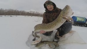 Подледная рыбалка в сибирской реке, серия 95.