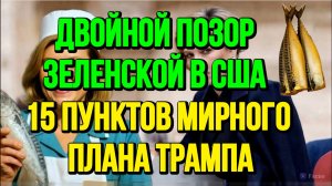 ПОЗОР ЗЕЛЕНСКОЙ В США. МИРНЫЙ ПЛАН ТРАМПА / ТАМИР ШЕЙХ новости