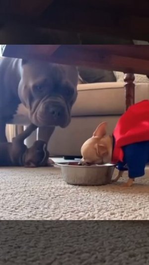 Что за😠....))