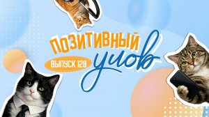 Телефон для кошек и восстание роботов. "Позитивный улов"