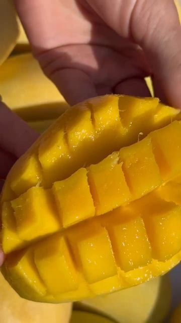 Манго эстетика