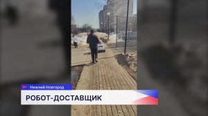 Жители Нижнего Новгорода смогут воспользоваться услугами роботов-доставщиков