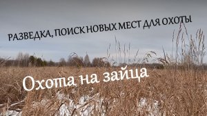 Охота на зайца по снегу. Тропление. Разведка, в поисках зайца.