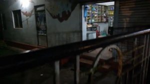 Индия, ГОА, ночной Вагатор,рынок