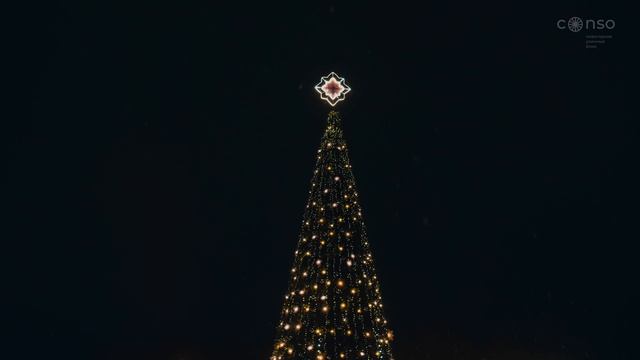 Новогодняя ель на главной площади Пскова