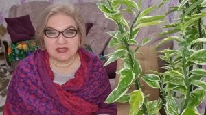 4 часть. Куча выкосит негативщиков❗️НакОси выкОси❗️