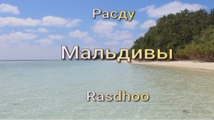 Расду. Мальдивы. Отель The Palm Ray Rasdhoo.