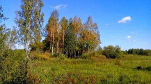 Осенние деньки...