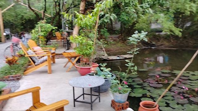 Места для отдыха у прудика ,лотосы и скалы -всё это в ресторане!