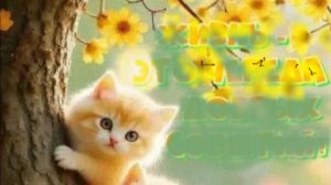 АПРЕЛЬ--КОЗЕРОГ(таро)