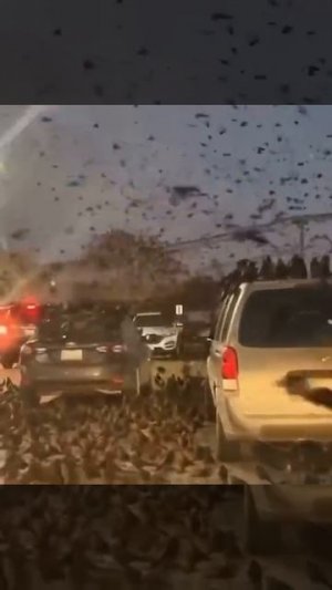 Обстановка в Израиле...