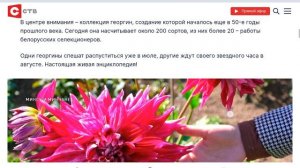 Георгины 2025 Минск Центральный ботанический сад