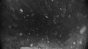 подлещик зимой