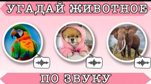 УГАДАЙ ЖИВОТНОЕ ПО ЗВУКУ🐸🐙🐁 ДЛЯ ДЕТЕЙ И ВЗРОСЛЫХ👁30 ЖИВОТНЫЙ!