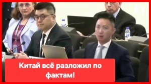 Китайский дипломат в ООН разнёс США, Британию и страны НАТО 👏