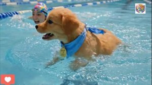 Невероятная Лулу: С небес на землю — от крыльев ангела до танковых сражений.