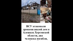ВСУ атаковали дронами жилой дом в Алешках Херсонской области