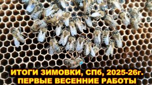 Итоги зимовки, СПб 2025 - 26 г. Первые весенние работы.