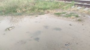 Один из дней города Евпатории | 22 июля 2021 год | Крым | ХАН БАТОН XAH 6ATOH | VID_20210722_154033