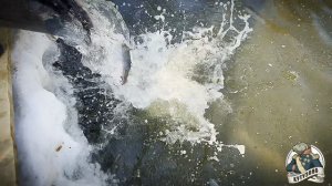 Обстановка на лесном пруду 25.03