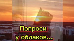 ПОПРОСИ У ОБЛАКОВ...