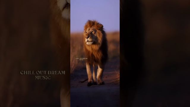 "Мой лев, мой Король, моя Любовь"