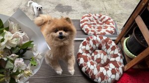 Все с удовольствием полакомились адыгейским сыром.