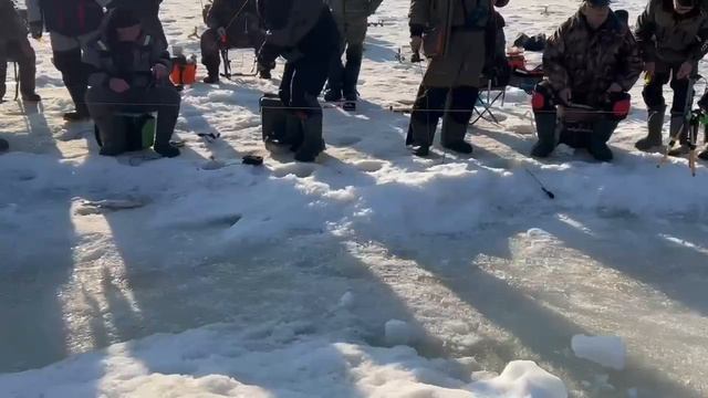 25.03.26 г. РК Волна. смотреть онлайн