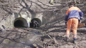 В Серпухове СНТ "Серпейка-1" прошло серьезное испытание