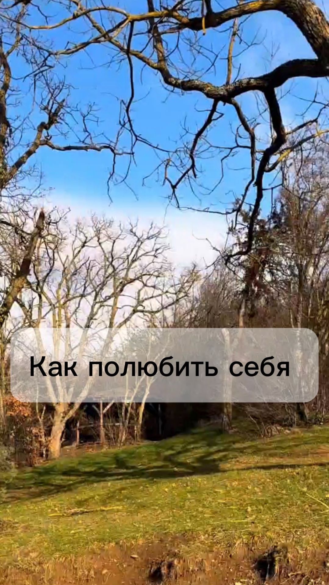 Как полюбить себя