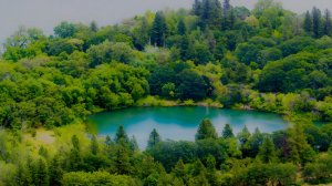 Спокойная атмосфера озера | Звуки природы | Птицы и ветер.