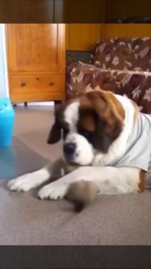 Терпение, только терпение 😁))