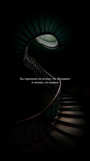 тгк: @emerald_academia