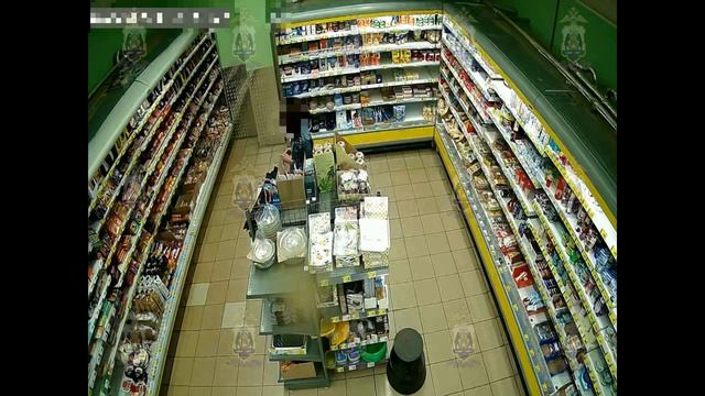 Новгородка ответит перед судом за 24 кражи из сетевых магазинов