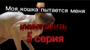 Моя кошка пытается меня уничтожить (5 серия)