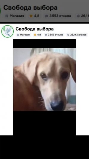 Прикол