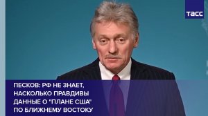 Песков: РФ не знает, насколько правдивы данные о "плане США" по Ближнему Востоку