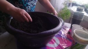 Жизнь пенсионеров.Вот так и день прошёл.