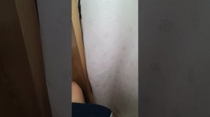 обзор рабочего стола геймера