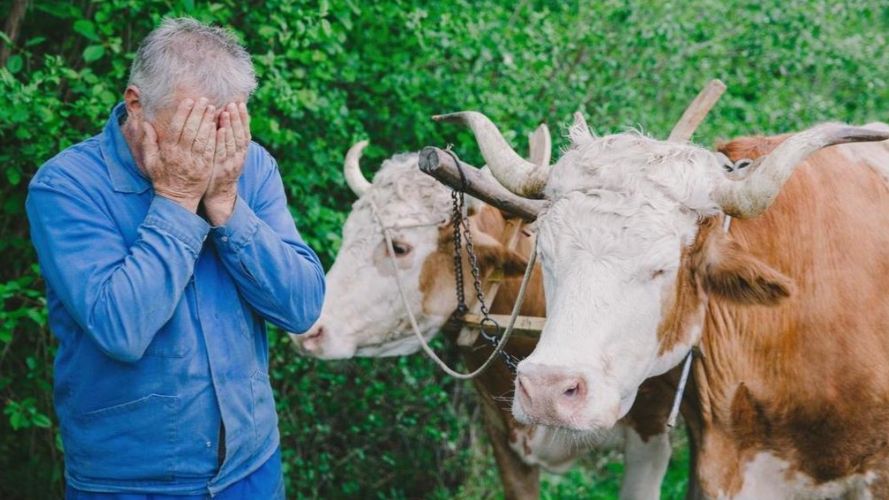 26.03.26 Что это?