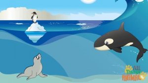 PENGUIN _ Animals For Kids