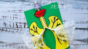 Как Работают Легкие Человека