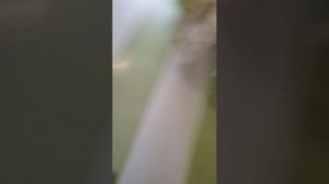 VID_20260326_152000.mp4