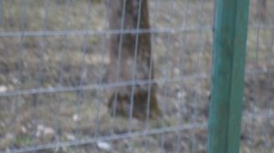 DSCN8594Парк Шерстяник март 2026 год