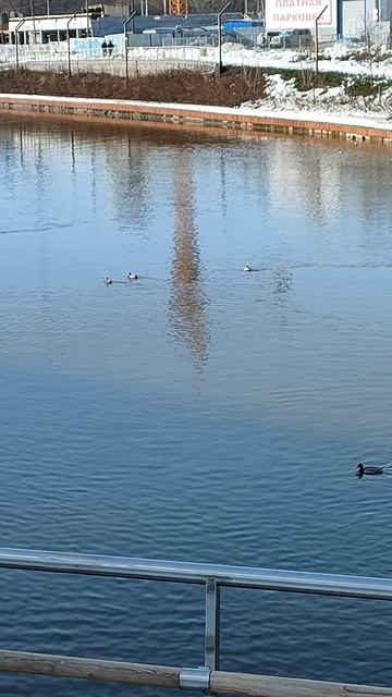 Екатеринбург плотинка