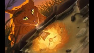 Коты-воители...