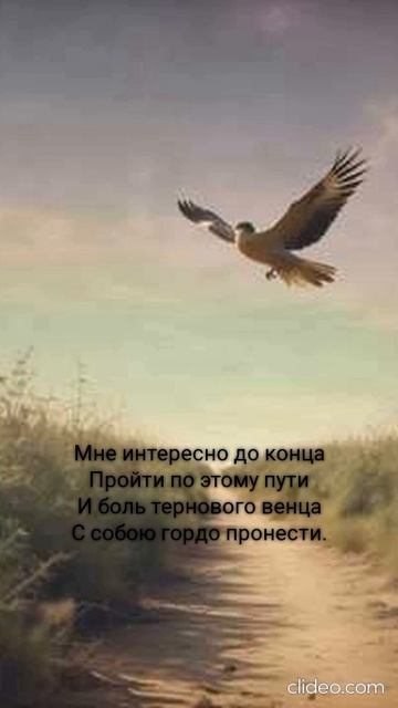 ЛЮБОПЫТСТВО (ПЕСНИ SUNO)