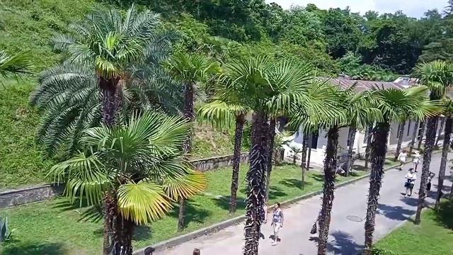 Дачи Сталина и Горбачева, Абхазия