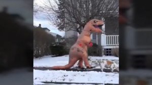 Мой хозяин идиот