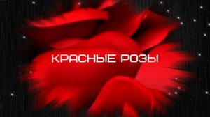 Красные розы | ФотоШоу PRO| PhotoShow PRO